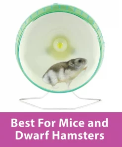 Kaytee Silent Spinner Small Animal Exercise Wheel -Kaytee Sales 2024 101439 PT5. SY630 V1629846133