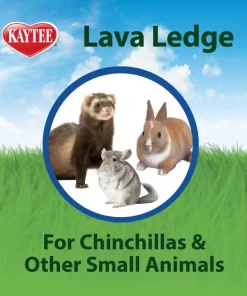 Kaytee Lava Ledge Small Animal Toy, Color Varies -Kaytee Sales 2024 101496 PT5. SY630 V1600206714