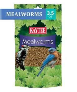 Kaytee Meal Worm Wild Bird Food -Kaytee Sales 2024 103496 PT2. SY630 V1591018119