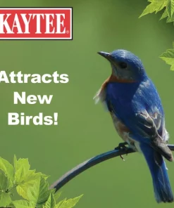 Kaytee Meal Worm Wild Bird Food -Kaytee Sales 2024 103496 PT4. SY630 V1591018130