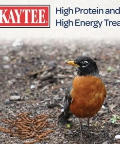 Kaytee Meal Worm Wild Bird Food -Kaytee Sales 2024 103496 PT6. SY630 V1591018141