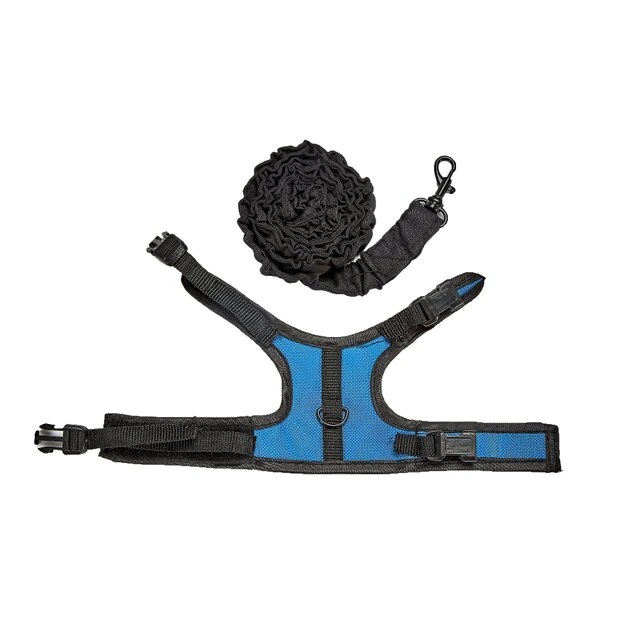 Kaytee Small Animal Harness & Stretchy Leash, Color Varies 1 Kaytee Small Animal Harness & Stretchy Leash, Color Varies