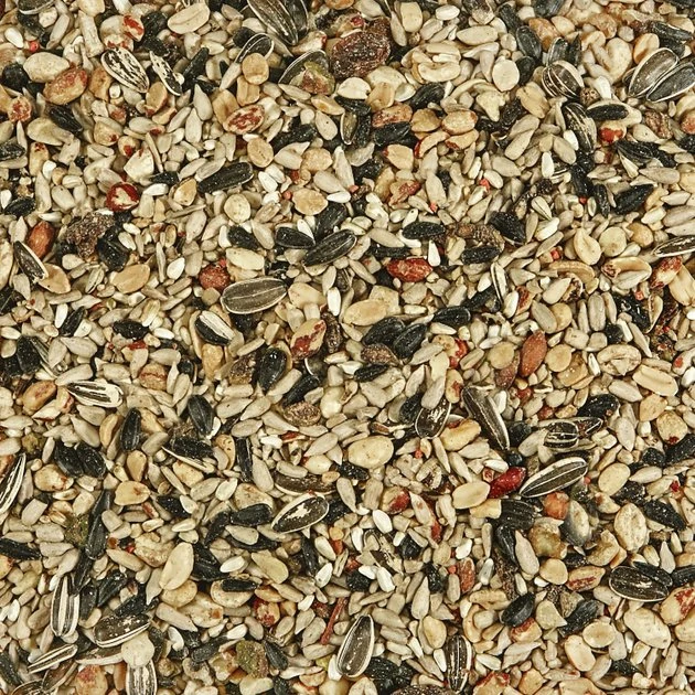 Kaytee Nut & Fruit Blend Wild Bird Food 3 Kaytee Nut & Fruit Blend Wild Bird Food - Image 3
