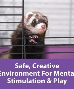 Kaytee 2x2 Multi-Level Habitat with Removable Casters Small Animal Habitat -Kaytee Sales 2024 154609 PT5. SY630 V1600211792