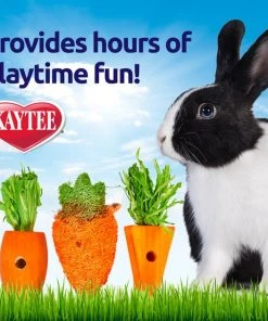 Kaytee Carrot Patch Variety Small Animal Chew Toy 7 Kaytee Carrot Patch Variety Small Animal Chew Toy -Kaytee Sales 2024 154621 PT3. SY630 V1573680509