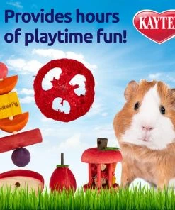 Kaytee Chew & Treat Toy Guinea Pig Assortment -Kaytee Sales 2024 162307 PT2. SY630 V1584563863