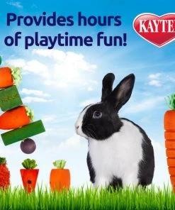 Kaytee Chew & Treat Toy Assortment for Rabbits, Toys Vary 7 Kaytee Chew & Treat Toy Assortment for Rabbits, Toys Vary -Kaytee Sales 2024 162309 PT3. SY630 V1584563827