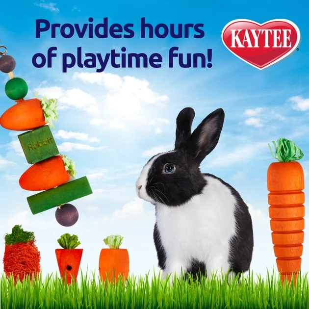 Kaytee Chew & Treat Toy Assortment for Rabbits, Toys Vary 3 Kaytee Chew & Treat Toy Assortment for Rabbits, Toys Vary - Image 3