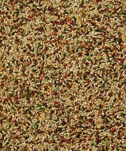 Kaytee Forti-Diet Pro Health Canary & Finch Food -Kaytee Sales 2024 175924 PT3. SY630 V1563804720