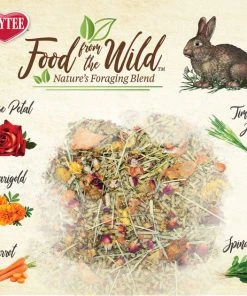 Kaytee Food From the Wild Rabbit Food, 4-lb bag -Kaytee Sales 2024 199223 PT3. SY630 V1591018343