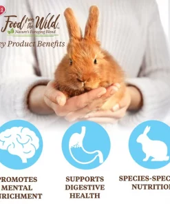 Kaytee Food From the Wild Rabbit Food, 4-lb bag -Kaytee Sales 2024 199223 PT5. SY630 V1591018416