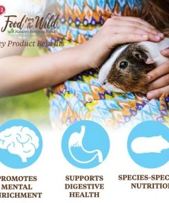 Kaytee Food From the Wild Guinea Pig Food, 4-lb bag -Kaytee Sales 2024 199225 PT5. SY630 V1582583339