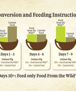 Kaytee Food From the Wild Guinea Pig Food, 4-lb bag -Kaytee Sales 2024 199225 PT6. SY630 V1582583612