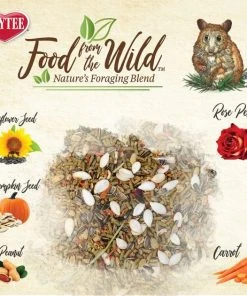 Kaytee Food From the Wild Hamster Food, 2-lb bag -Kaytee Sales 2024 199227 PT2. SY630 V1591018575
