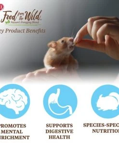 Kaytee Food From the Wild Hamster Food, 2-lb bag -Kaytee Sales 2024 199227 PT4. SY630 V1591018585