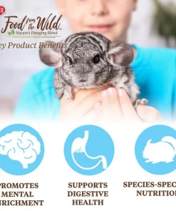 Kaytee Food From the Wild Chinchilla Food, 3-lb bag -Kaytee Sales 2024 199229 PT5. SY630 V1582583623
