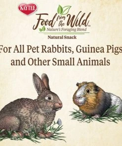 Kaytee Food From the Wild Natural Snack Rabbit Treats, 1-oz bag -Kaytee Sales 2024 199235 PT4. SY630 V1637625729