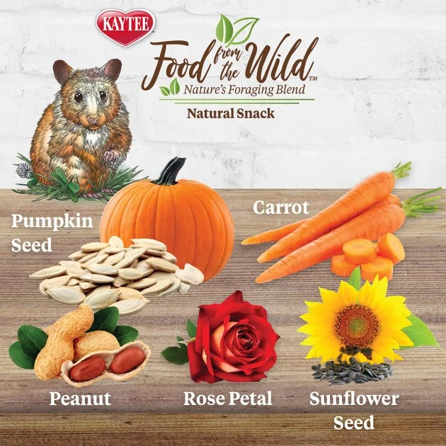 Kaytee Food from the Wild Natural Snack Hamster & Gerbil Treats, 2-oz bag 2 Kaytee Food from the Wild Natural Snack Hamster & Gerbil Treats, 2-oz bag - Image 2