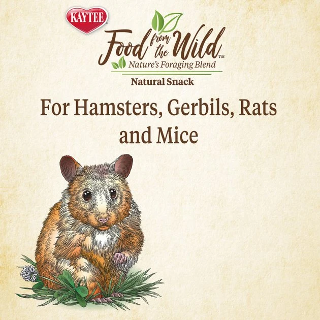 Kaytee Food from the Wild Natural Snack Hamster & Gerbil Treats, 2-oz bag 5 Kaytee Food from the Wild Natural Snack Hamster & Gerbil Treats, 2-oz bag - Image 5