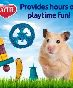 Kaytee Chew & Treat Hamster Toy, 5 count -Kaytee Sales 2024 201231 PT2. SY630 V1584563832