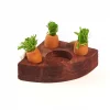 Kaytee Toss & Learn Carrot Game Small Pet Toy