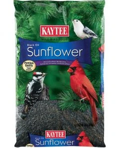Kaytee Black Oil Sunflower Wild Bird Food, 10-lb bag