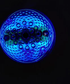 Kaytee CritterTrail LED Bubble Plug Small Pet Habitat Light -Kaytee Sales 2024 221897 PT3. SY630 V1608593262