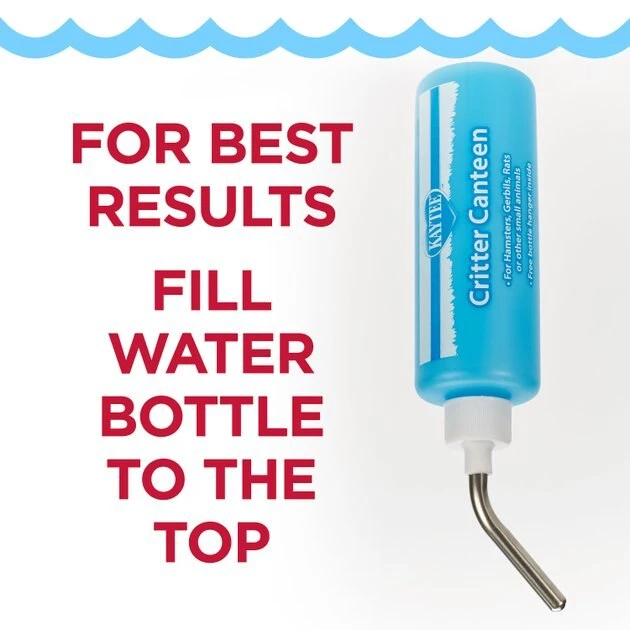 Kaytee Critter Small Pet Canteen, Blue 3 Kaytee Critter Small Pet Canteen, Blue - Image 3