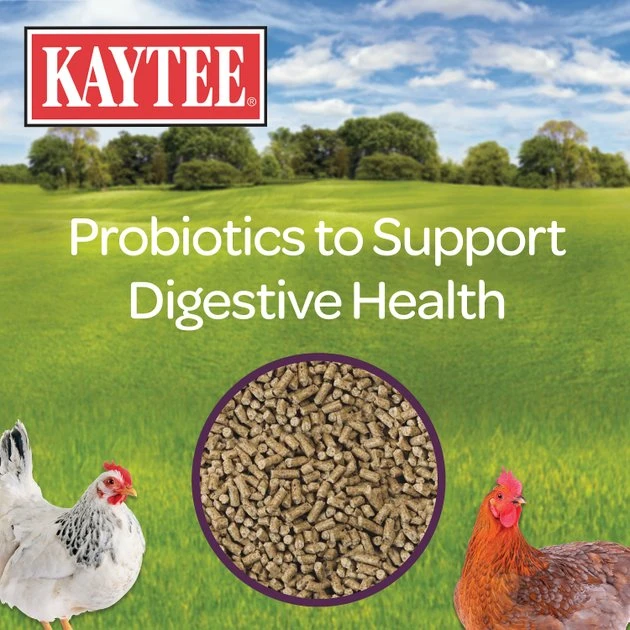 Kaytee Laying Hen Diet Chicken Feed, 25-lb bag 4 Kaytee Laying Hen Diet Chicken Feed, 25-lb bag - Image 4