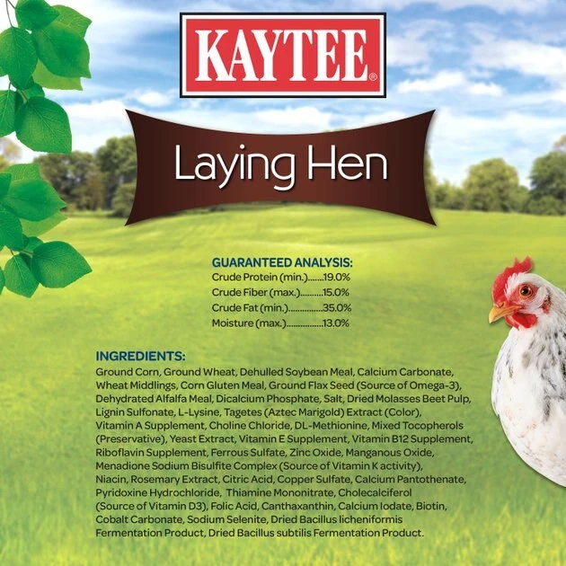 Kaytee Laying Hen Diet Chicken Feed, 25-lb bag 9 Kaytee Laying Hen Diet Chicken Feed, 25-lb bag - Image 9