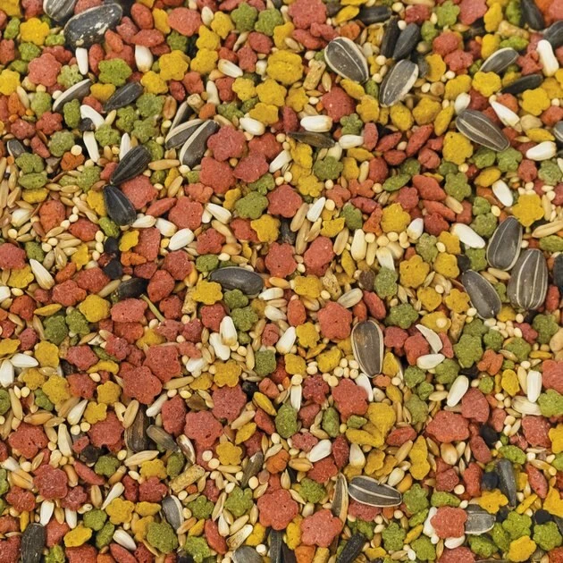 Kaytee Exact Fusion Cockatiel Food, 4-lb bag 5 Kaytee Exact Fusion Cockatiel Food, 4-lb bag - Image 5