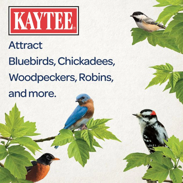 Kaytee Woodpecker Cake Wild Bird Treats, 6 count 3 Kaytee Woodpecker Cake Wild Bird Treats, 6 count - Image 3