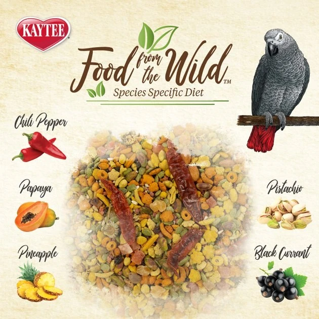 Kaytee Food from the Wild Parrot Bird Food, 2.5-lb bag 2 Kaytee Food from the Wild Parrot Bird Food, 2.5-lb bag - Image 2