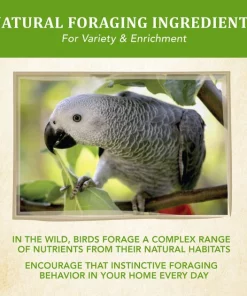 Kaytee Food from the Wild Parrot Bird Food, 2.5-lb bag 11 Kaytee Food from the Wild Parrot Bird Food, 2.5-lb bag -Kaytee Sales 2024 247997 PT5. SY630 V1597088488