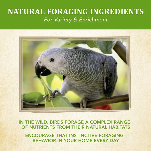 Kaytee Food from the Wild Parrot Bird Food, 2.5-lb bag 5 Kaytee Food from the Wild Parrot Bird Food, 2.5-lb bag - Image 5