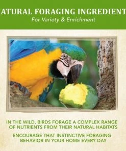 Kaytee Food from the Wild Macaw Bird Food, 2.5-lb bag -Kaytee Sales 2024 247999 PT5. SY630 V1597088554