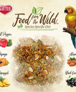 Kaytee Food from the Wild Conure Bird Food, 2.5-lb bag -Kaytee Sales 2024 248001 PT6. SY630 V1610757066