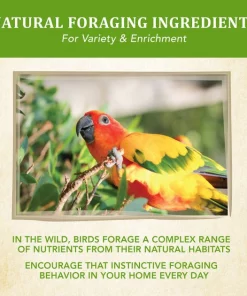 Kaytee Food from the Wild Conure Bird Food, 2.5-lb bag -Kaytee Sales 2024 248001 PT7. SY630 V1610763699