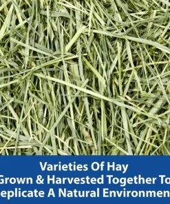 Kaytee Wild Meadow Hay Blend Rabbit Food, 24-oz bag -Kaytee Sales 2024 248606 PT2. SY630 V1597844456