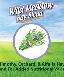 Kaytee Wild Meadow Hay Blend Rabbit Food, 24-oz bag -Kaytee Sales 2024 248606 PT4. SY630 V1597880183