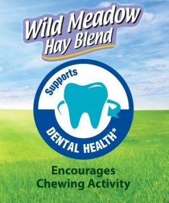 Kaytee Wild Meadow Hay Blend Rabbit Food, 24-oz bag -Kaytee Sales 2024 248606 PT6. SY630 V1597889846