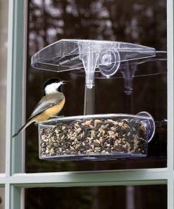 Droll Yankees||Kaytee Droll Yankees Observer Window Bird Feeder, 7-in & Kaytee Basic Blend Wild Bird Food, 20-lb bag -Kaytee Sales 2024 255437 PT2. SY630 V1602707472