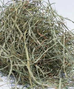 Sweet Meadow Farm||Kaytee Sweet Meadow Farm Timothy Hay Small Pet Food, 9-lb box & Kaytee Perfect Chews Rabbit Toy, 6.5-in -Kaytee Sales 2024 255885 PT2. SY630 V1604350943