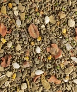 Kaytee Fiesta Natural Guinea Pig Food, 4.5-lb bag -Kaytee Sales 2024 261962 PT3. SY630 V1623682076