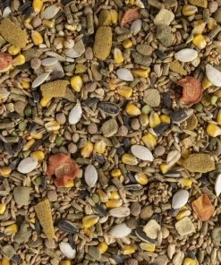 Kaytee Fiesta Natural Hamster & Gerbil Food, 4.5-lb bag -Kaytee Sales 2024 261966 PT2. SY630 V1623682058