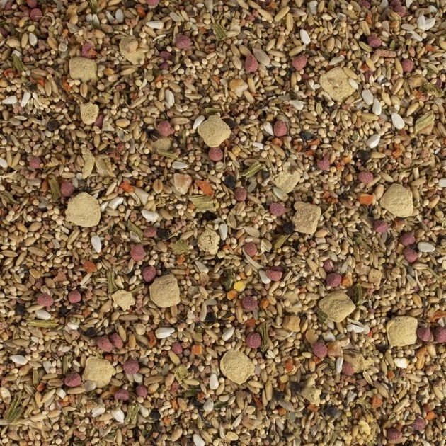 Kaytee Fiesta Natural Ingredients Parakeet Bird Food, 4.5-lb bag Kaytee Fiesta Natural Ingredients Parakeet Bird Food, 4.5-lb bag -Kaytee Sales 2024 277959 PT7. SY630 V1622781193