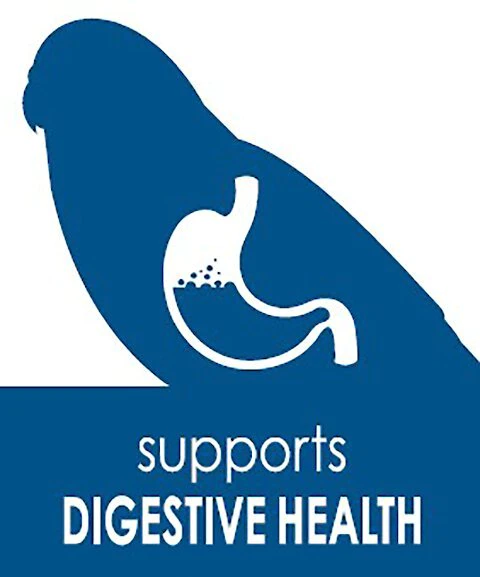 Kaytee Fiesta Natural Ingredients Conure Bird Food, 4.5-lb bag 4 Kaytee Fiesta Natural Ingredients Conure Bird Food, 4.5-lb bag - Image 4