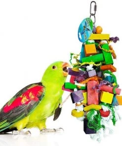 Kaytee||SunGrow Kaytee Supreme Parakeet Food + Sungrow Parrot Chew Toy, Foraging Blocks, Rainbow Wood -Kaytee Sales 2024 302000 PT3. SY630 V1622816558