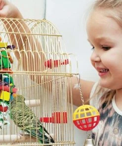 Kaytee||SunGrow Kaytee Supreme Parakeet Food + Sungrow Parrot Chew Toy, Foraging Blocks, Rainbow Wood -Kaytee Sales 2024 302000 PT4. SY630 V1622816543