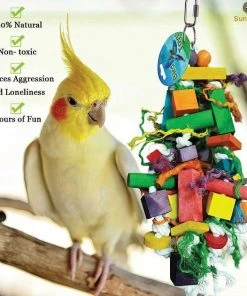 Kaytee||SunGrow Kaytee Supreme Parakeet Food + Sungrow Parrot Chew Toy, Foraging Blocks, Rainbow Wood -Kaytee Sales 2024 302000 PT5. SY630 V1622816544